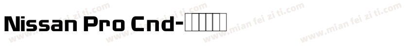 Nissan Pro Cnd字体转换